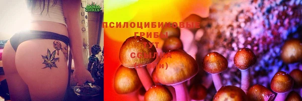 мяу мяу кристалл Балахна